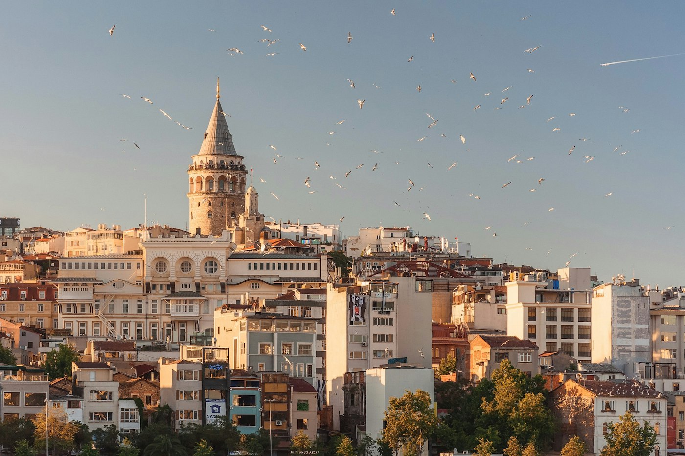 Galata Kulesi ve İstanbul çatıları